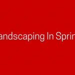 Landscaping In Spring