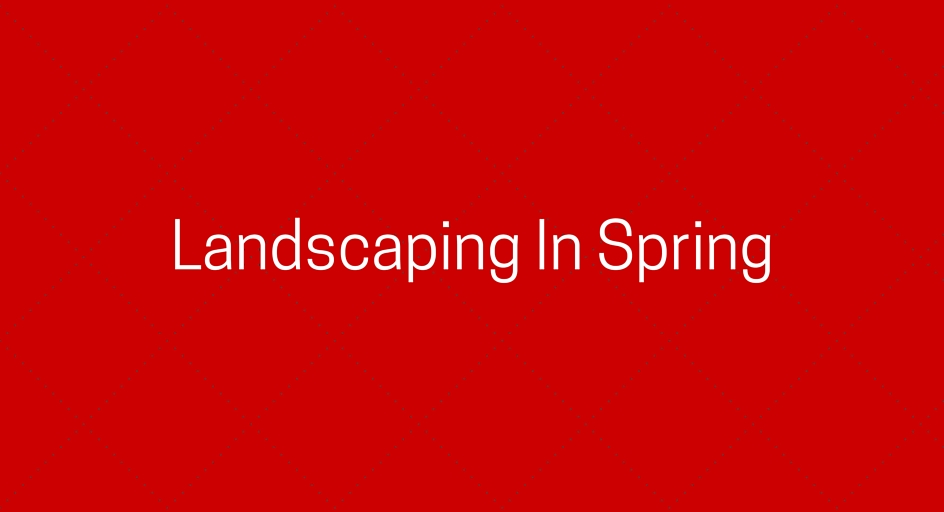 Landscaping In Spring