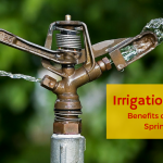 Irrigation Systems – Benefits of an Automatic Sprinkler System