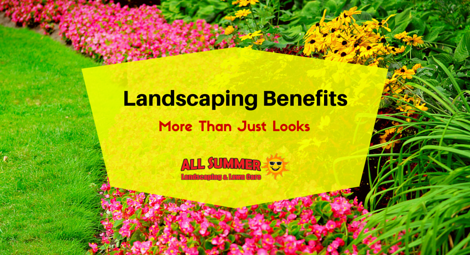 Landscaping Benefits – More Than Just Looks