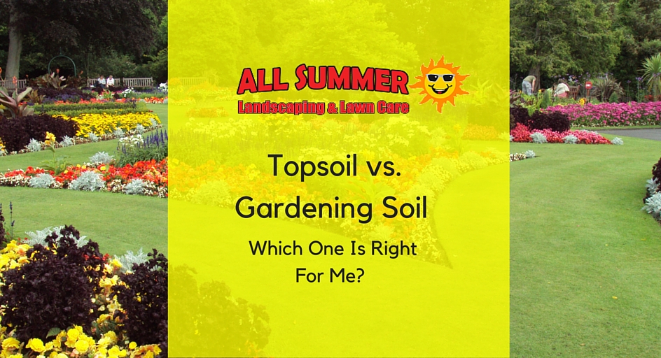 Topsoil vs. Gardening Soil – Which One Is Right For Me?