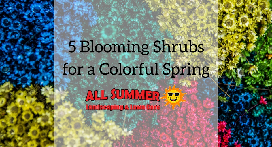 Here are 5 blooming shrubs that are perfect for spring