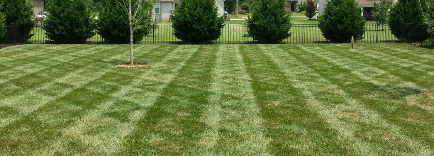 Landscaping Murfreesboro TN All Summer Landscape Group