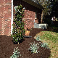 Professional Home Landscaping