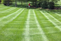 professional-lawn-care-12