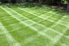 professional-lawn-care-23