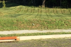professional-lawn-care-39