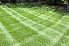 professional-lawn-care-85