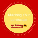 Mulching Your Landscape