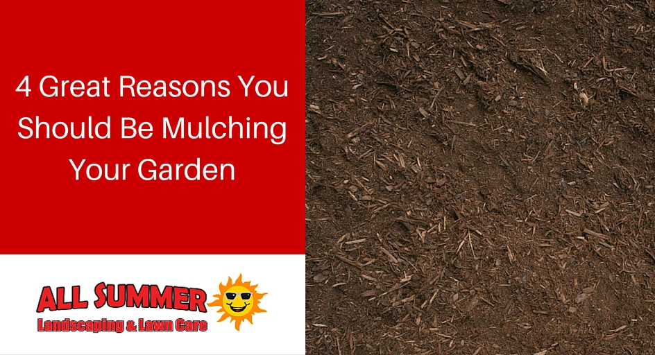 4 Great Reasons You Should Be Mulching Your Garden