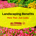 Landscaping Benefits – More Than Just Looks