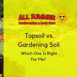 Topsoil vs. Gardening Soil – Which One Is Right For Me?